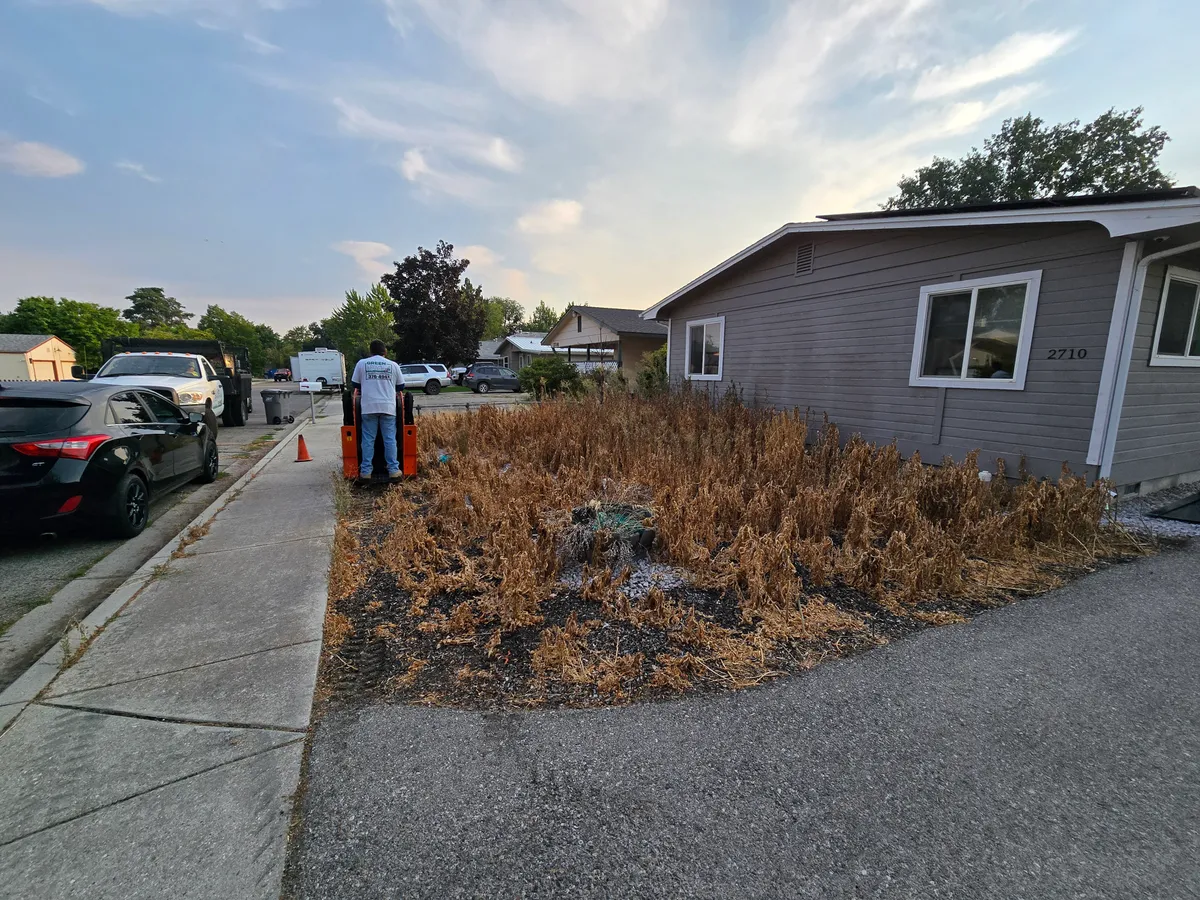 Core Aeration & Power Dethatching