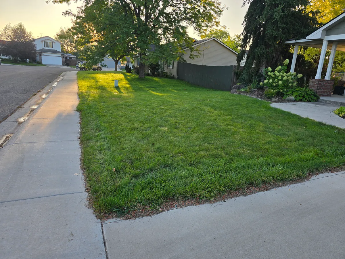 Landscaping project in Boise area