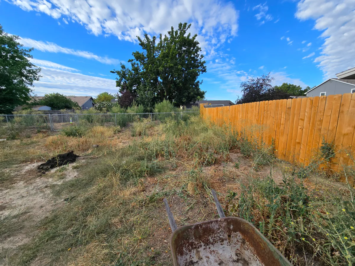 Before — project photo
